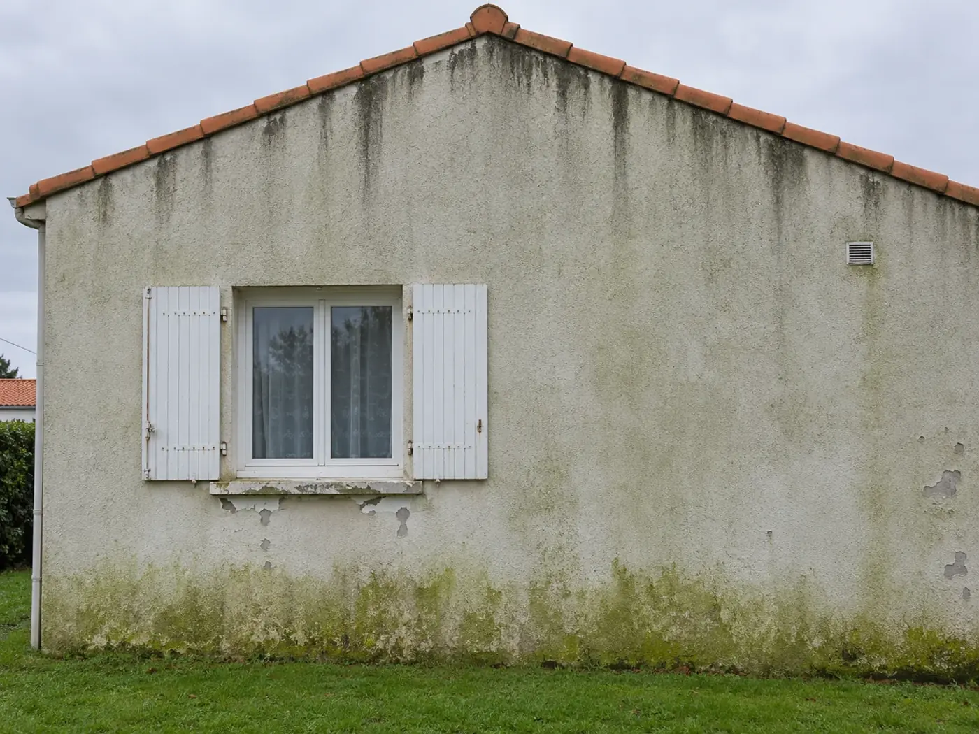 Illustration : un pignon de maison vendéenne verdi et noirci par la pluie, peinture qui farine et s'écaille par endroits
